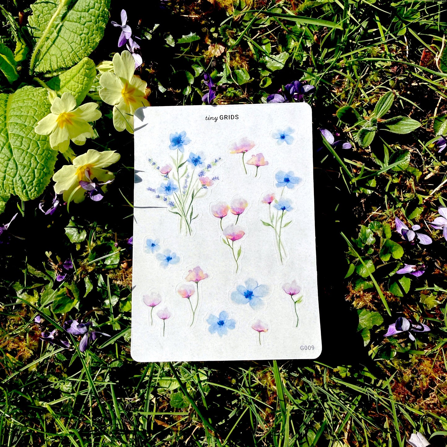 Whispers of Spring