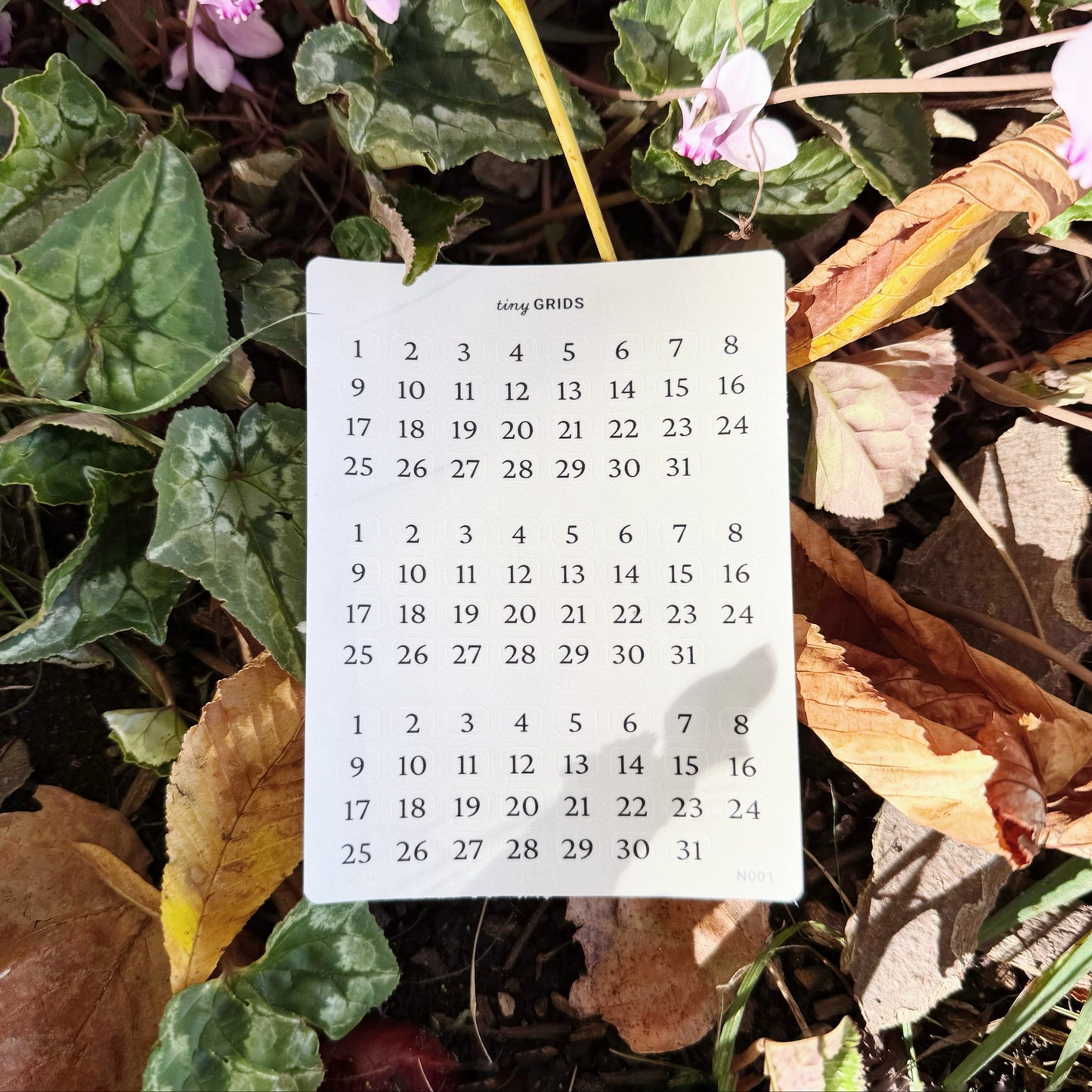 Day Numbers