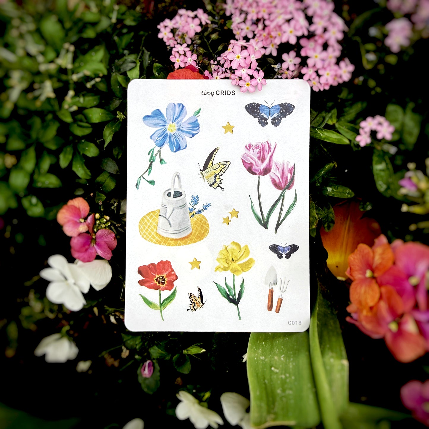 Garden Daydream