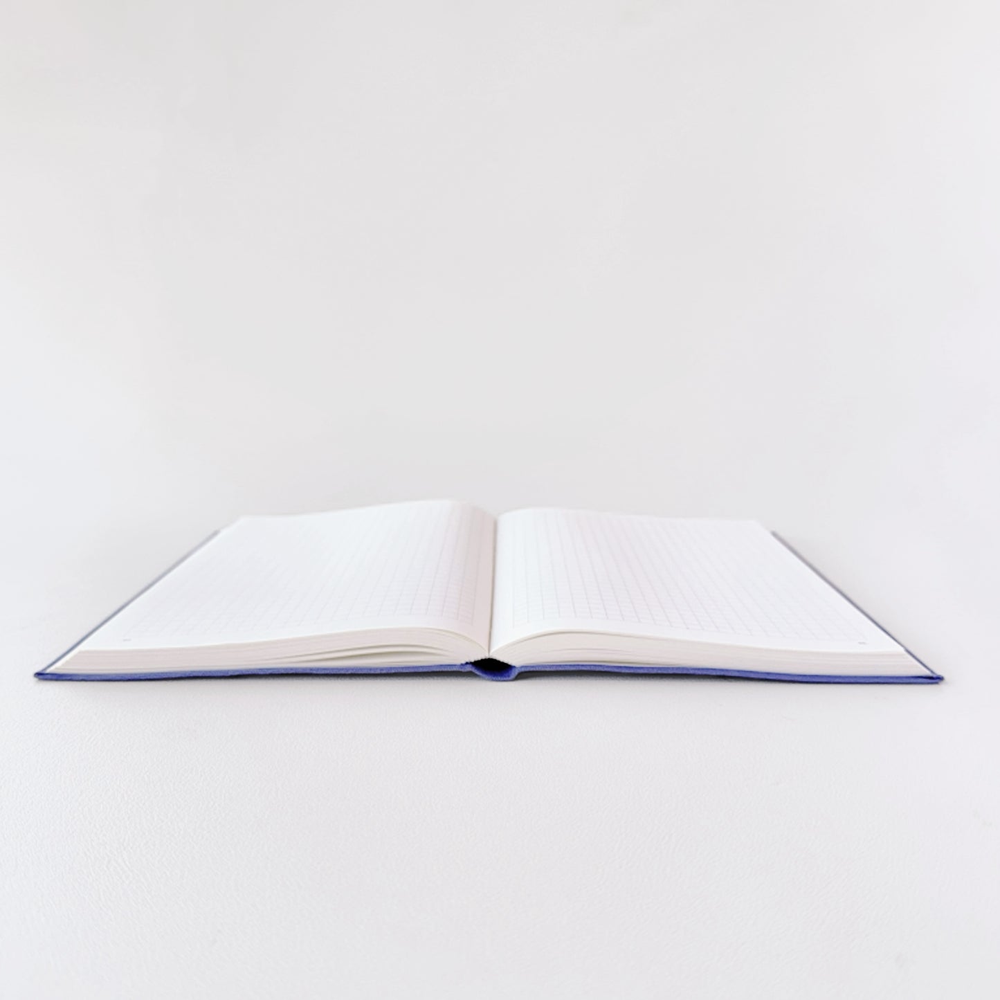 The Dual - B6 Undated