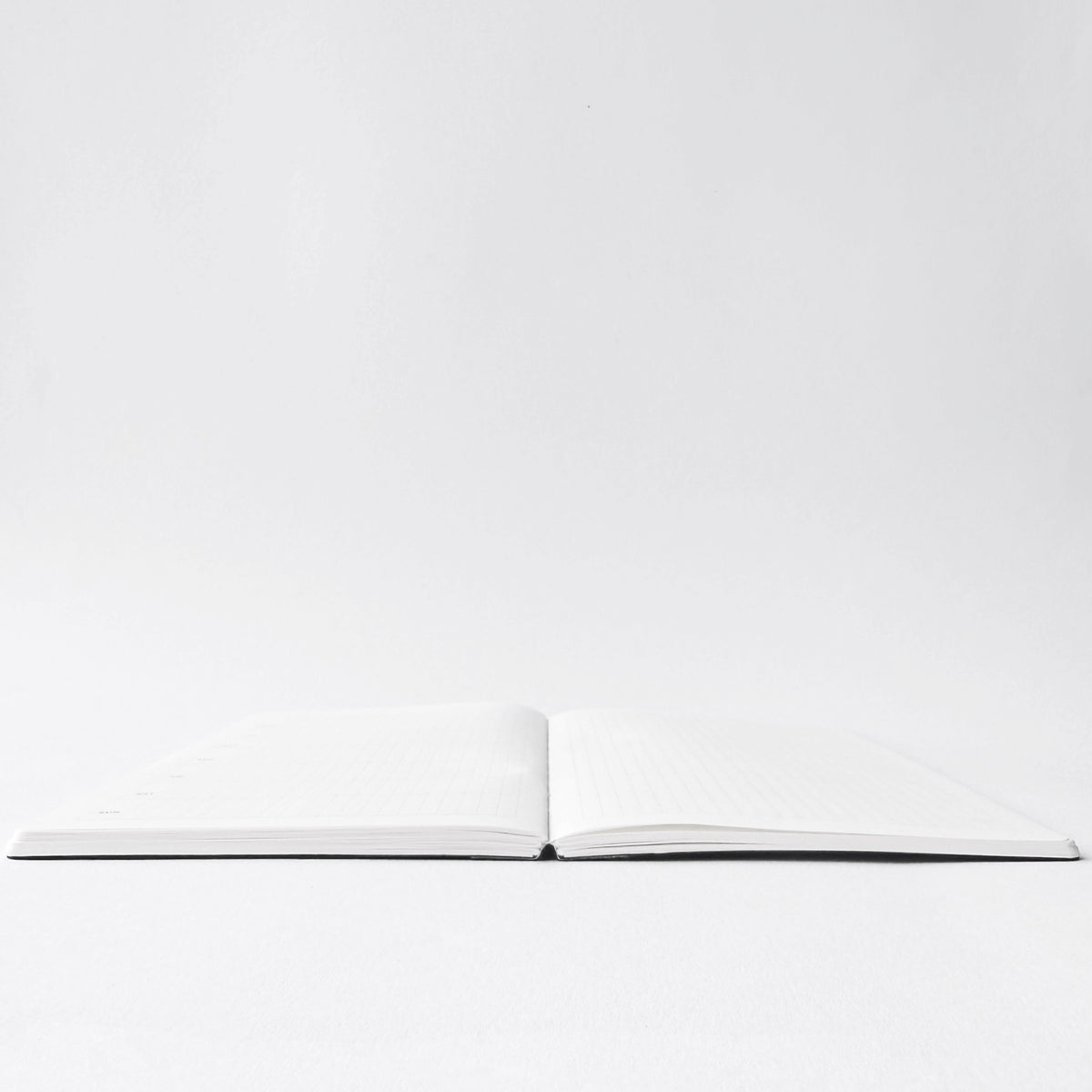 Weeks Lite Undated Dual Planner