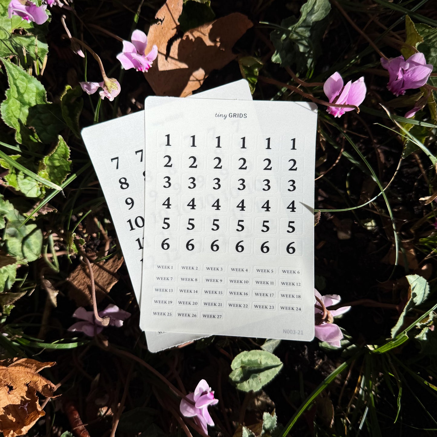 Month and Week Number Kit